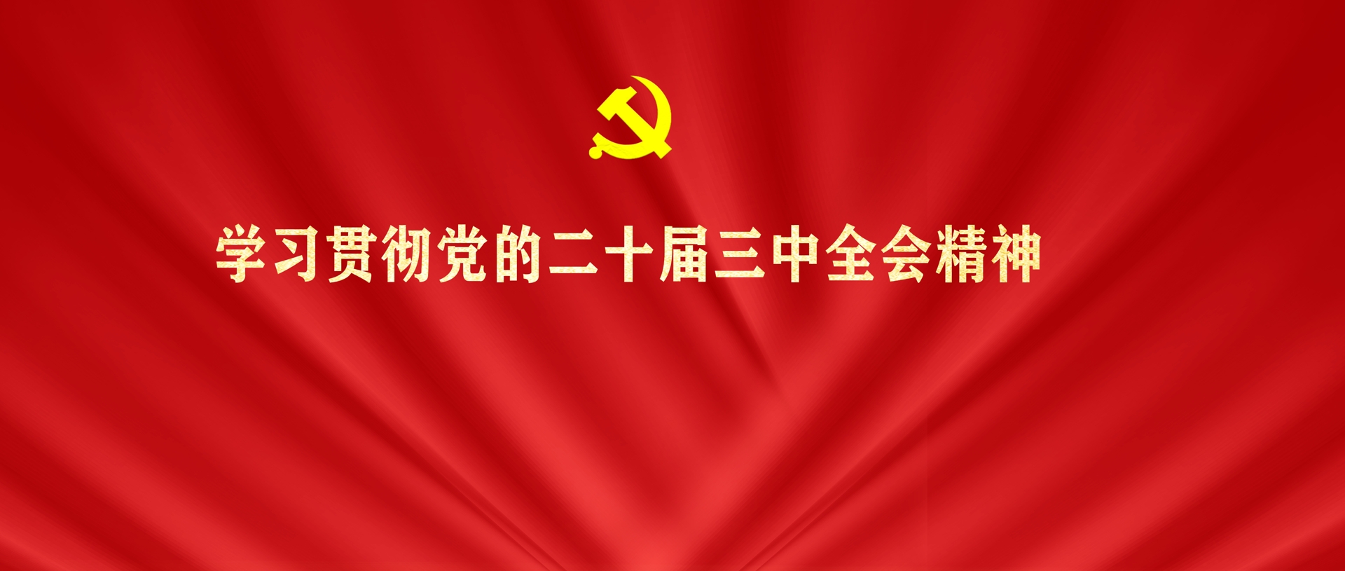 学习宣传贯彻党的二十届三中全会精神专栏